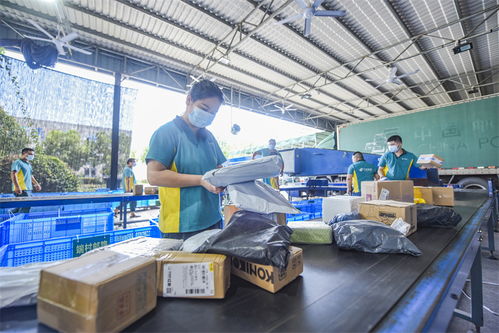 武義農(nóng)村電商 從“個(gè)富”到“共富”，商品房代購(gòu)代銷(xiāo)開(kāi)辟鄉(xiāng)村振興新路徑