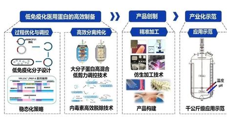西北大學獲批3項國家重點研發計劃，聚焦生物化工產品技術研發新突破